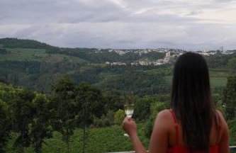 Villa Alpina - Cabanas Conceito - Vale dos Vinhedos - Foto 20