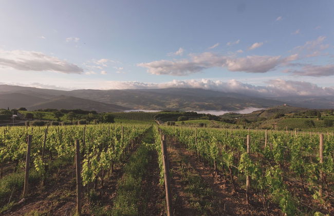 Mastrojanni Relais - Photo 52