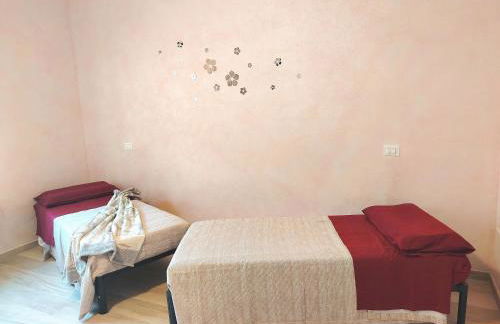 Sole e Luna nella Vigna - Foto 19