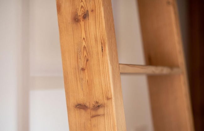 Dei Sana 8 - Orso in Turri Piano - Photo 75