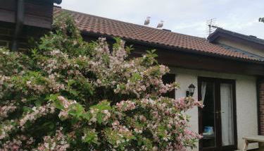 Tolroy manor holiday cottage - Foto 2