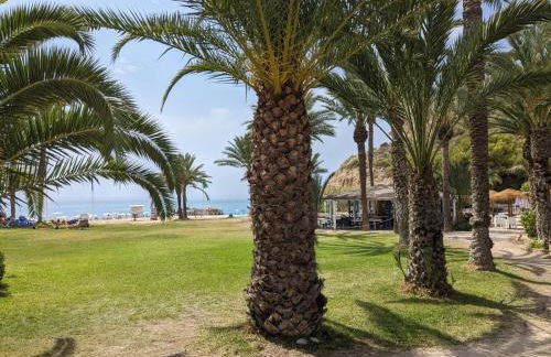 La caleta - Photo 31