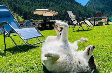 Chalet Sunshine - Foto 68