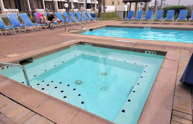 Saida Royale 9039 - Foto 78