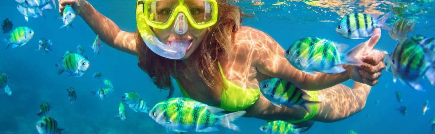 Snorkel na Ponta de São Lourenço