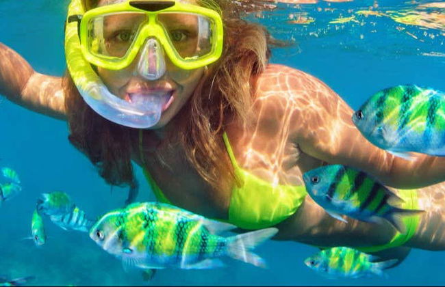 Snorkelling at Ponta de São Lourenço - Photo 8