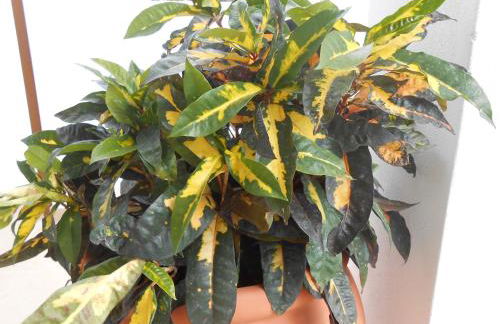 Casitas Las Uvas y las Viñas - Foto 52