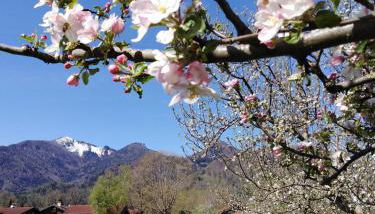Ferienwohnung Schreiner-Viehhausen - Foto 5