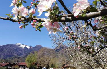 Ferienwohnung Schreiner-Viehhausen - Foto 5