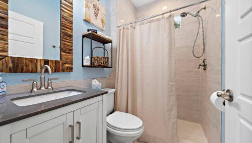 The Blue Pelican - Foto 5