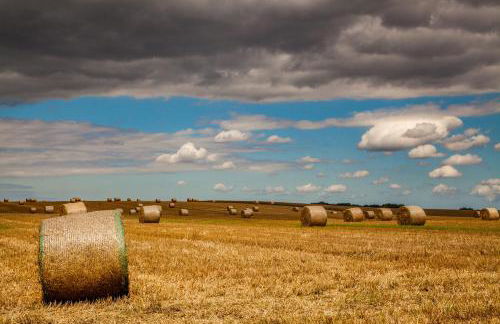 Ferienwohnung Düne mit Kamin und 2 Bädern in Boltenhagen - Foto 45