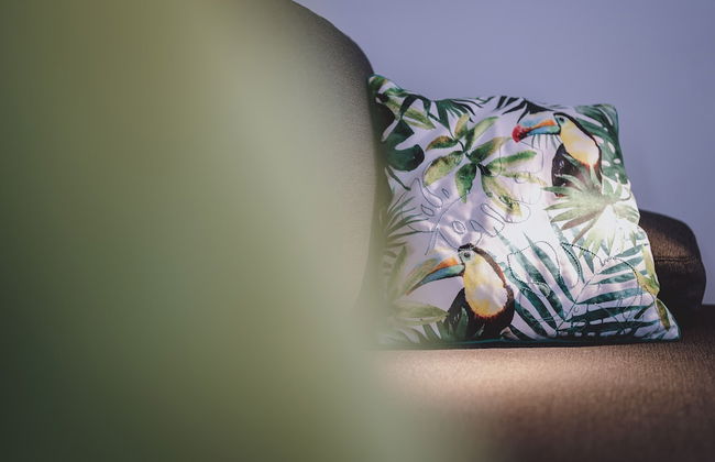 Appartements Sulzer by we rent - Foto 38