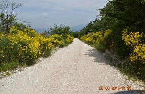 Casa Galoppa - Foto 33