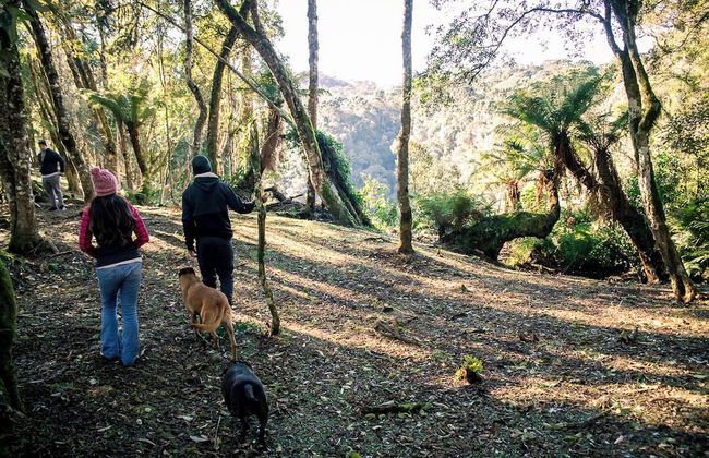 Sítio Mar de Nuvens Chalés de Luxo - Photo 70