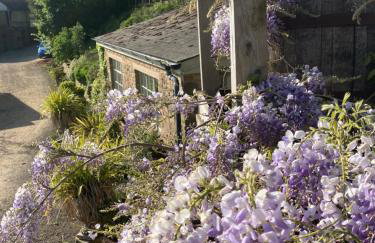 Lavender cottage - Foto 31