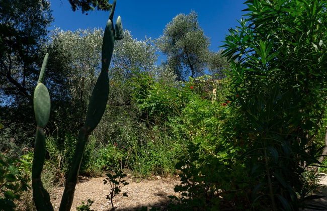 Cottage Home at South Chania near Paliochora - Photo 25