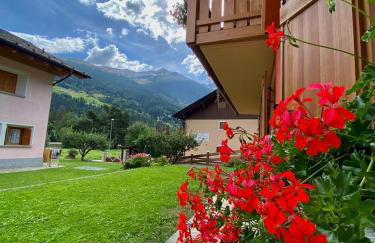 Casa Clus Bormio apartments 1 - Photo 32