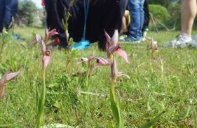 Casa CÔA - Casas de Villar - Rural Experience - Foto 35
