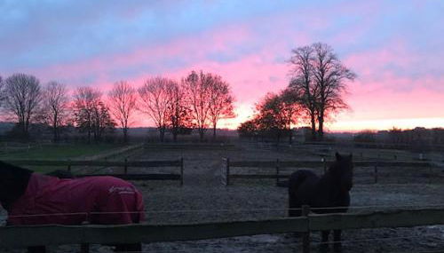 Kälberstall - Foto 5