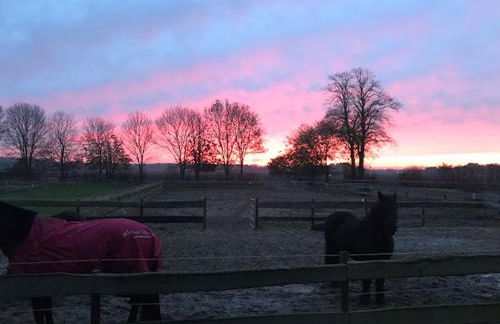 Kälberstall - Foto 5