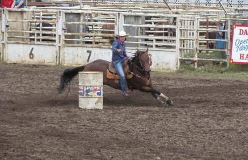 Serene Tiny House Retreat in Japanese Garden - Foto 43