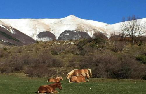 Castelvecchio Family Retreat - Foto 65