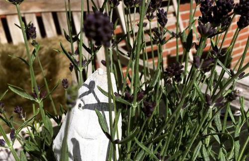 Maltes Hüs - Foto 5