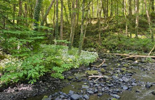 The Sea Loft Castlerock. - Foto 36