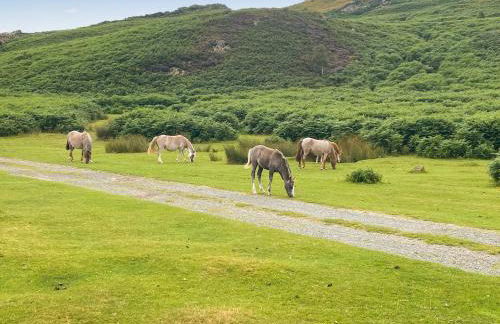 1 Bronrallt - Foto 25