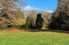 Little Plas - Foto 21