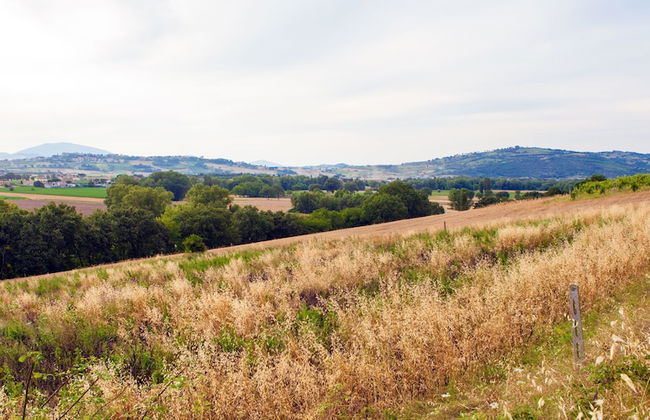 Agriturismo la Palazzetta di Assisi - Foto 17