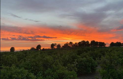 Beach Retreat - Photo 24