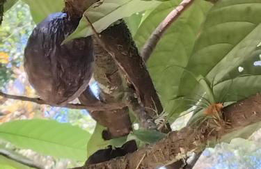 Campo e mar Bertioga - Foto 8