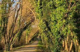 Casa do Areal, Refúgio das Rotas Pedestres em Mira - Foto 57