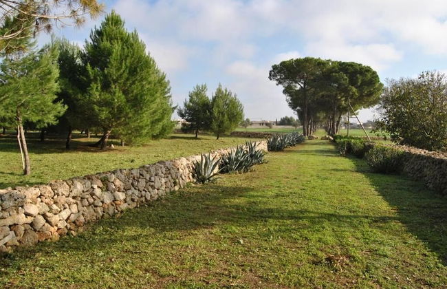 Masseria Frassaniti - Foto 40