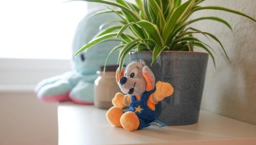 101-Freiburg - 2 Appartements - Foto 5