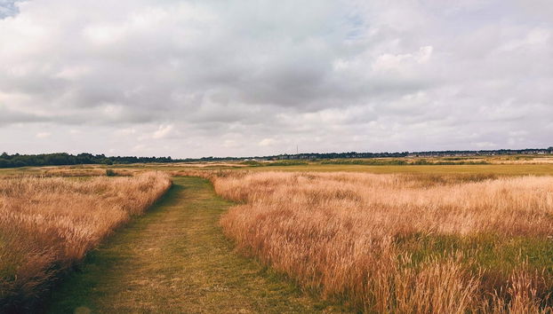 4 Person Holiday Home in Romo-by Traum - Foto 5, Miscelánea