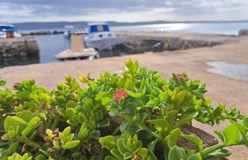 Apartments by the sea Nevidjane, Pasman - 8453 - Foto 19