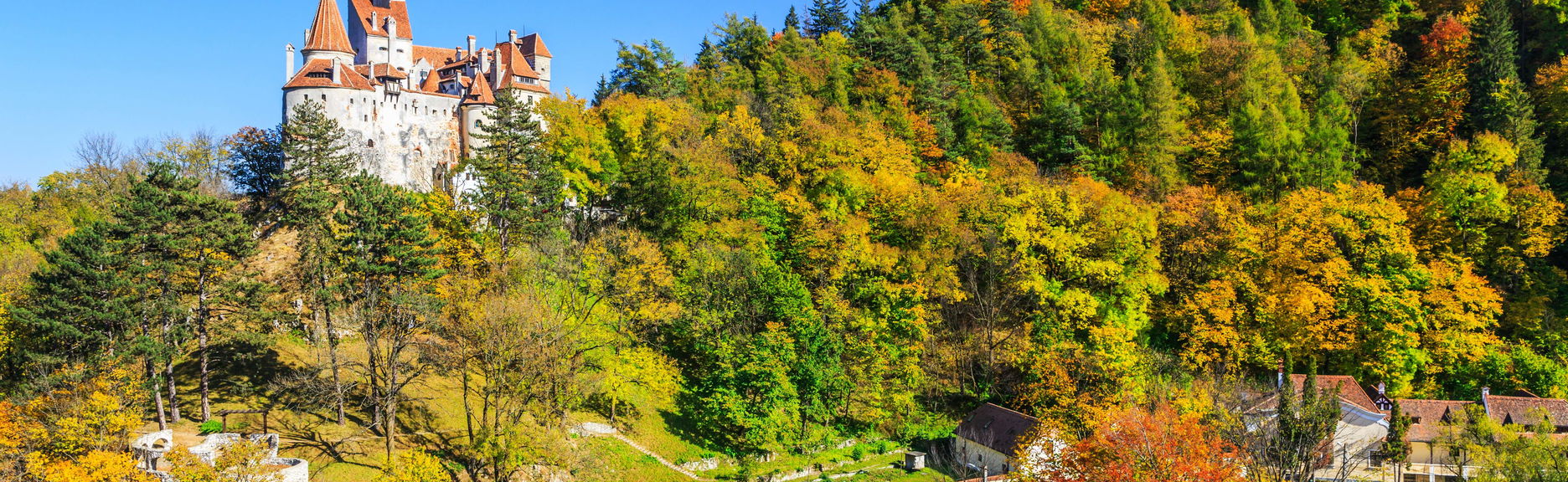 Excursión privada desde Brasov