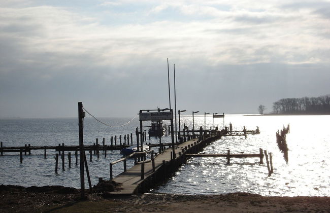 Ferienwohnung mit Garten in Zweedorf - Foto 24