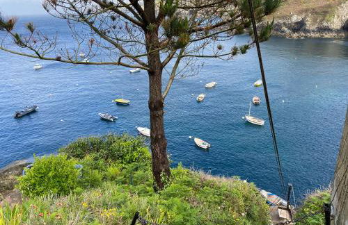 FERME Rénovée 300m de la Mer POINTE DU RAZ jusqu'à 9 Couchages LOCATION 7 jours du Samedi au Samedi minimum - Foto 17