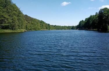 Urokliwy Domek nad Brzegiem Jeziora - Foto 6