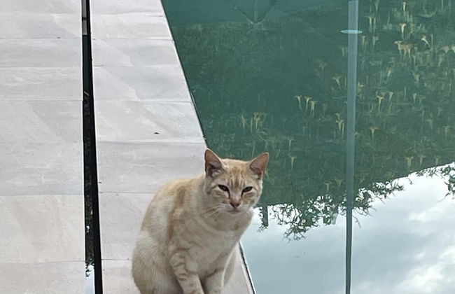 Casa Velha - Santiago Family House - Foto 26