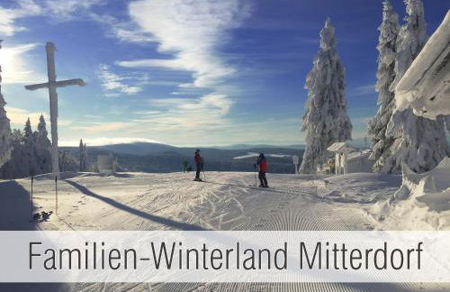 Hütte41: Ganze Hütte nah am See mit privatem Whirlpool, Sauna. Umzäunt. - Foto 37