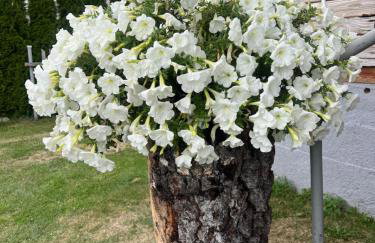 Dom Na Wsi - Foto 23