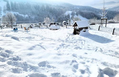STUDIO plein sud "Les Arolles" Balcon de VILLARD DE LANS - Foto 17