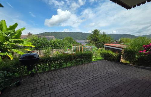 Sandhaasenblick - Foto 3