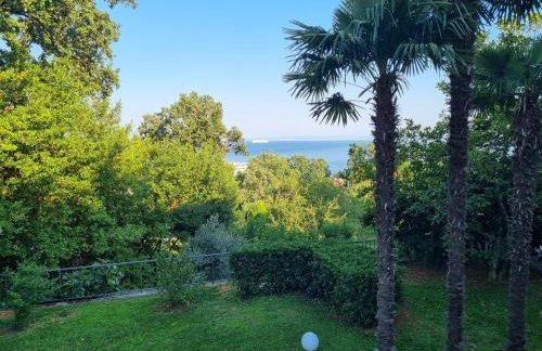 Apartmani ViVa - Foto 28