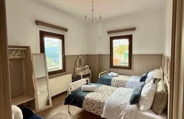 Avra Metsovou - Photo 9