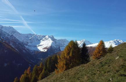 Residence Alice - Foto 62